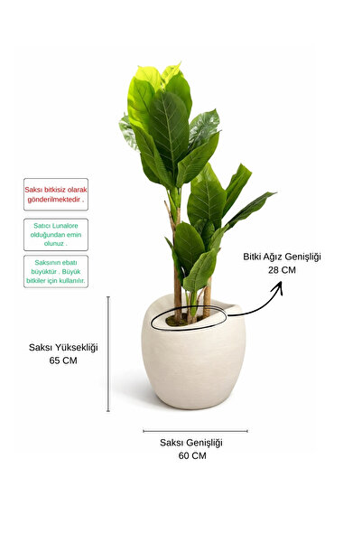 Lunalore Dekoratif Küre Fiber Beton Görünümlü Dokulu 70 CM Modern Saksı Tasar...