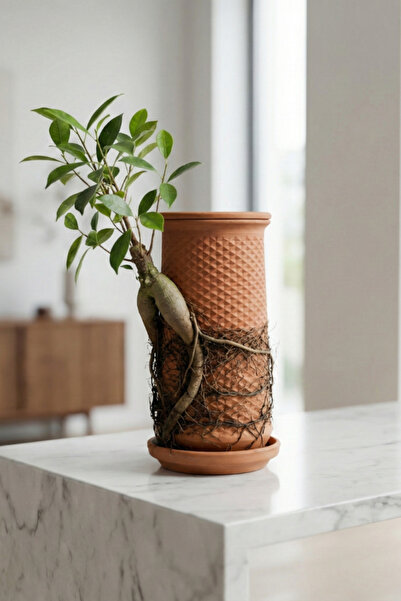 Hidroponik Saksı Hidroponik El Yapımı Çömlek Saksı | Topraksız Bitki Yetiştir...