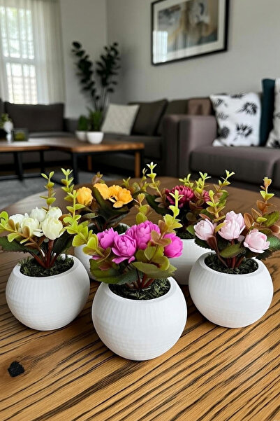 adresiburasi Artificial Bench Flower in Concrete Pot Set of 5