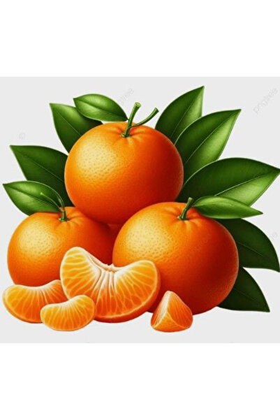 NeşeliAtölyem ÖZEL KESİM KARTLI VE ETİKETLİ MADLEN ÇİKOLATA