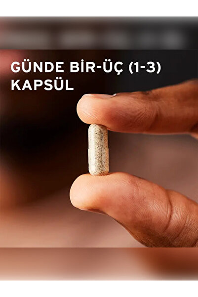 Solgar Saw Palmetto Berries ( Cüce Palmiye Meyvesi ) 100 Kapsül