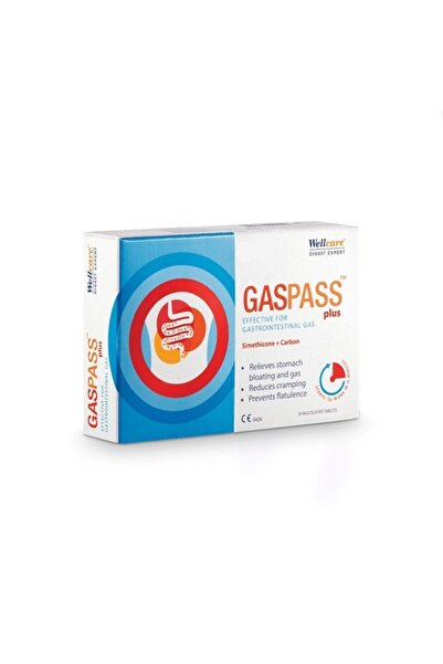 Wellcare Gaspass Plus 20 Tablet