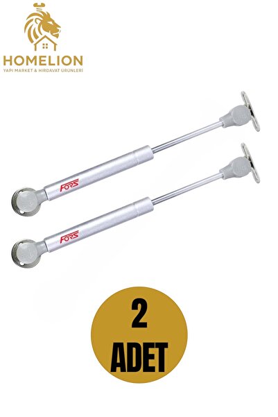 HOMELION 2 ADET Fors 100N Gri Dolap Kapak Pistonu – Amortisörlü Hidrolik Dest...