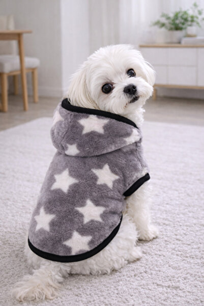 Alphadog Grey Star Küçük Irk Köpek Pofuduk Kaban