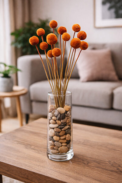 ÇINARASYADAHOME باقة زهور كراسبيديا (بيلي بوتن) الطبيعية الجافة بلون القهوة ا...