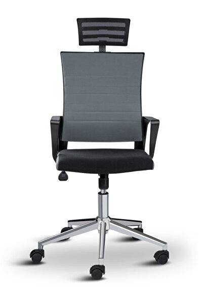 Asbir Mobilya Rigel Başlıklı Ofis Koltuğu Metal Ayaklı Çalışma Koltuğu Ofis S...