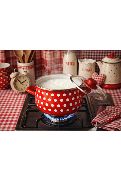 EBRULİEMAYE Enamel Retro 3 Liter 20 cm Diameter Medium Size Milk Yogurt Chees...