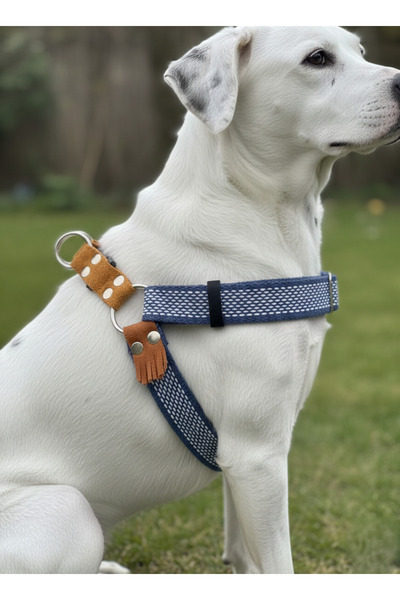 balkonda Dog Collar Medium and Large Breed Adjustable Column Cord and Leather Blue & Brown