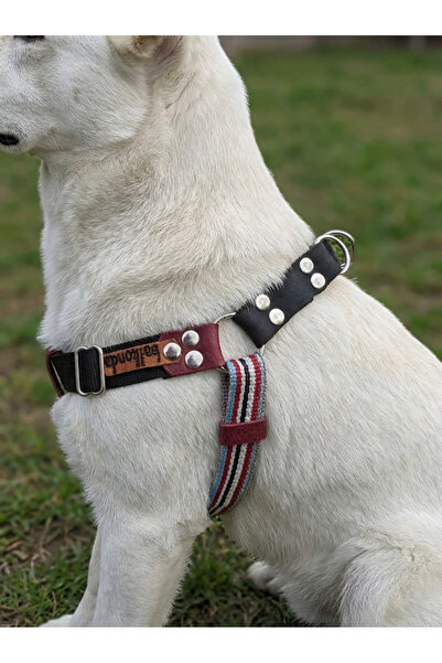 balkonda Dog Collar Medium and Large Breed Adjustable Column Cord Multicolor & Black