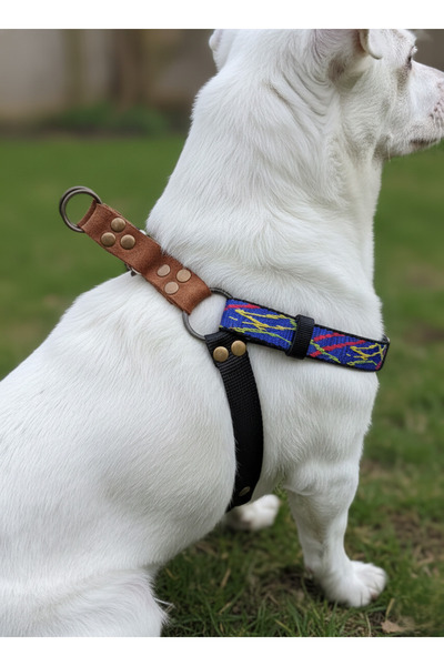 balkonda Dog Collar Small, Medium and Large Breeds Adjustable Column Cord and Leather Black & Blue
