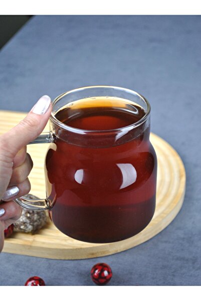 Qualitev 1 Piece Large Size Borosilicate Glass Mug with Handle Tea Cup 575 ml Coffee Cup