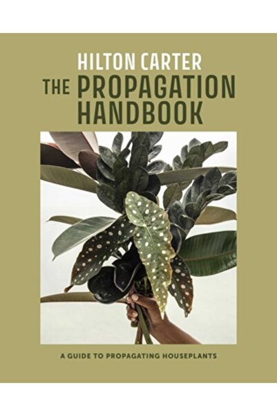 Cico Manualul de propagare: Un ghid pentru propagarea plantelor de apartament