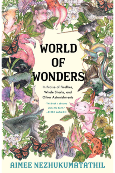 Milkweed Ed Lumea minunilor: În laudă licuricilor, rechinilor-balenă și altor...