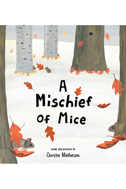 Sourcebooks Jabberwocky O năzbâtie de șoareci