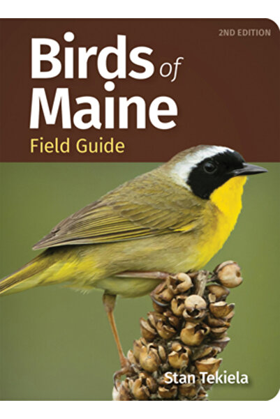 Adventurekeen Ghid de teren pentru păsările din Maine