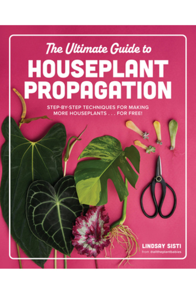 Cool Springs Pr Ghidul suprem pentru propagarea plantelor de apartament: Tehn...