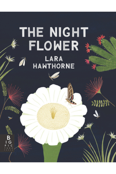 Big Picture Pr Floarea Nopții: Înflorirea cactusului Saguaro