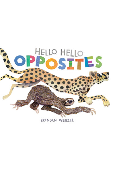 Chronicle Books Salut Salut Opuși