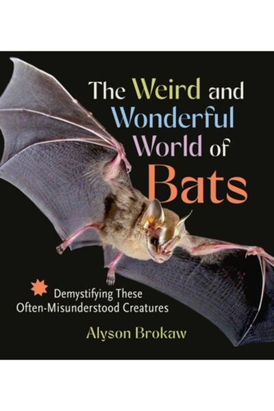 Timber Pr Inc Lumea ciudată și minunată a liliecilor: Demitizarea acestor cre...