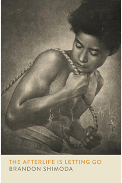 City Lights Viața de apoi înseamnă să renunți