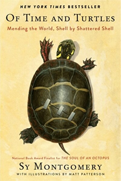 mariner books Of Time and Turtles: Mending the World, Shell by Shattered Shell