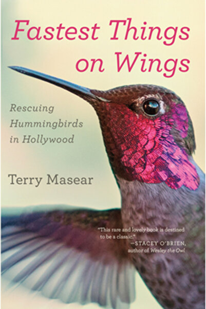 mariner books Cele mai rapide lucruri pe aripi: Salvarea colibrilor în Hollywood
