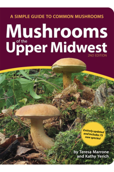 Adventurekeen Ciupercile din Midwestul Superior: Un ghid simplu pentru ciuper...