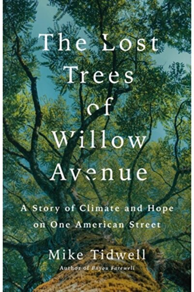St Martins Pr Copacii pierduți de pe Willow Avenue: O poveste despre climă și...