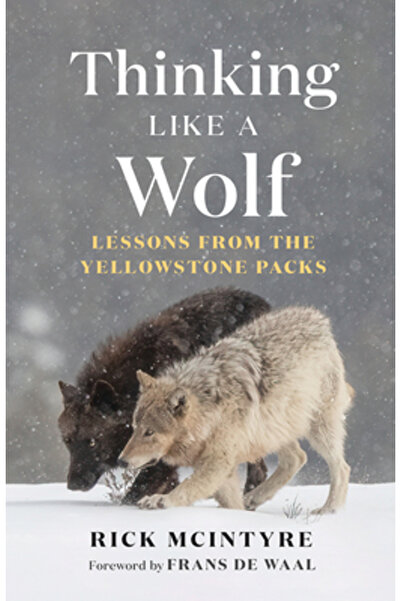 Greystone Books Gândind ca un lup: Lecții de la haitele din Yellowstone