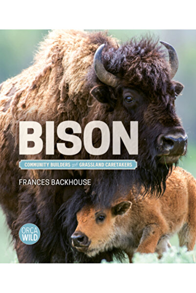 Orca Book Publ Bizon: Constructori de comunitate și îngrijitori de pajiști