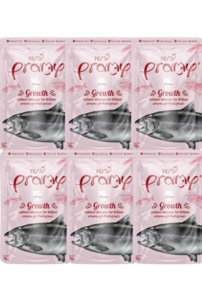 BRAMİA طعام رطب للقطط بنكهة السلمون للقطط الصغيرة - 6 أكياس وزن كل منها 70 غرامًا