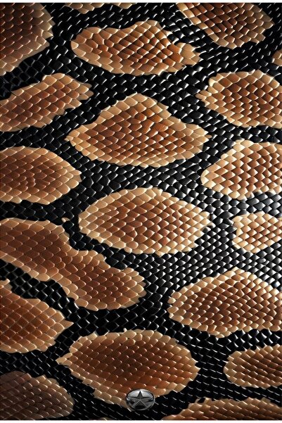 KEMAL ABİ مفارش طاولة أمريكية وسجادة مائدة من البي في سي قابلة للمسح 4 قطع