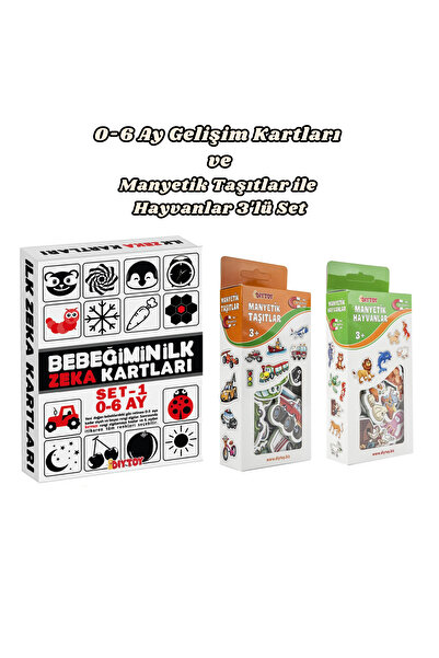 Diytoy Eğitici Zeka Kartları ve Manyetik Taşıtlar ile Hayvanlar 3'lü Set