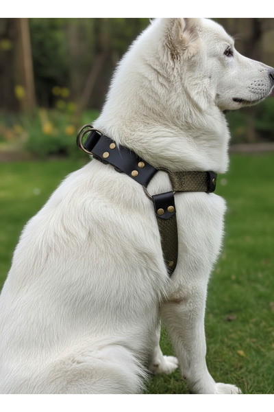 balkonda Dog Collar Medium Breed Adjustable Leather Khaki