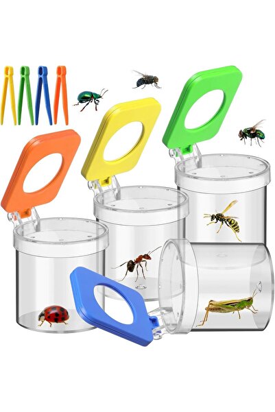 Tazweeq مجموعة عارض الحشرات للأطفال