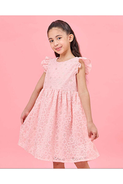 REDTAG Girls Pink Embroidered Dress
