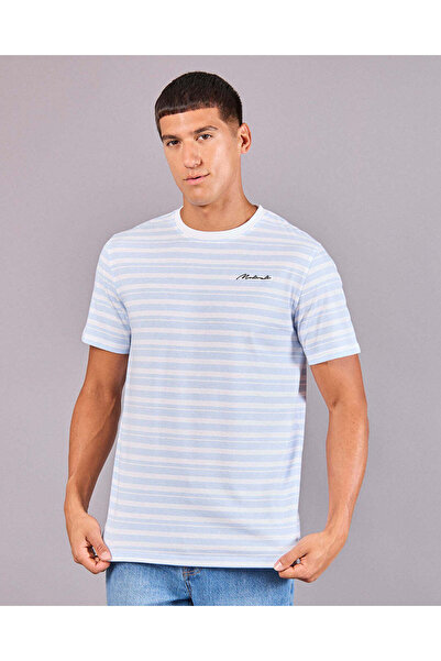 REDTAG Men Blue Striped T-Shirt