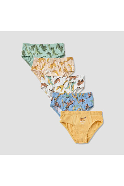 Juniors Tiger Print Briefs with Elasticated Waistband - Set of 5