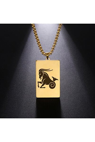 Choice قلادة برج الجدي بطول 60 سم، مع سلسلة صندوقية وقلادة تضم 12 برجًا فلكيً...