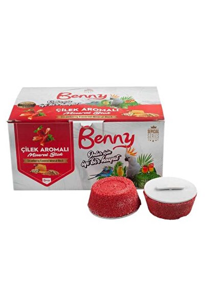 netx Benny Çilek Aromalı Mineral Blok 1 DET