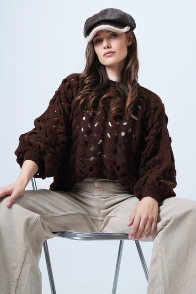 Trend Alaçatı Stili Women's Brown Crew Neck a Lace-Like Knit Knitwear Sweater Vs01460