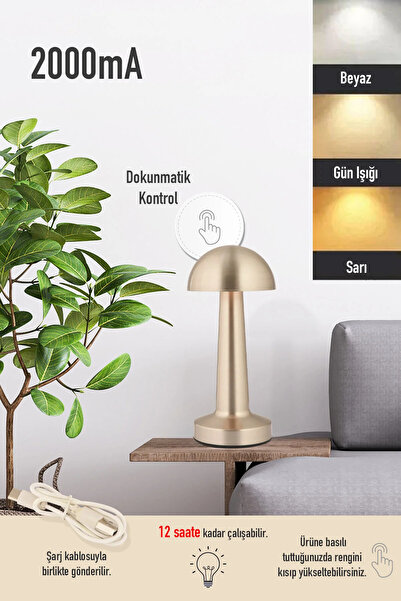 HubRom Επαναφορτιζόμενη επιτραπέζια λάμπα Orvin Nickel με δυνατότητα ρύθμισης...