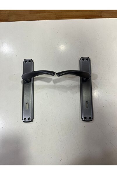 İnan Eda model door handle anthracite gray room