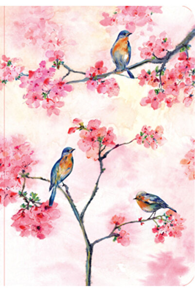 Peter Pauper Jurnalul Florilor de Cireș în Primăvară