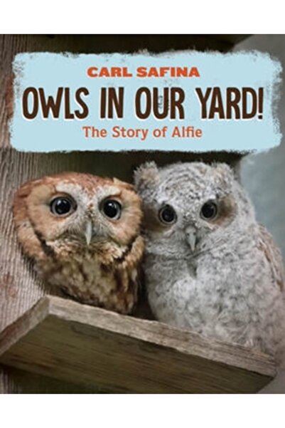 Norton Young Readers Bufnițe în curtea noastră!: Povestea lui Alfie