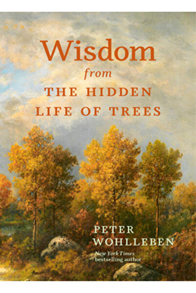 Greystone Books Înțelepciune din viața ascunsă a copacilor