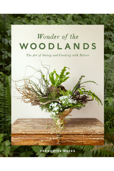 Potter Clarkson N Minunea pădurilor: Arta de a vedea și de a crea cu natura