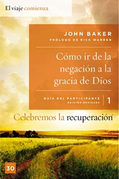 Vida Publ Como Ir de la Negacion a la Gracia de Dios: Un Programa de Recupera...