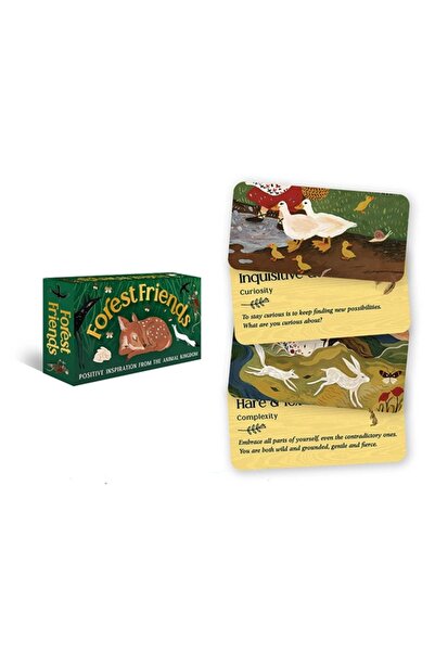 Rockpool Pub Prietenii Pădurii: Inspirație pozitivă din Regatul Animalelor