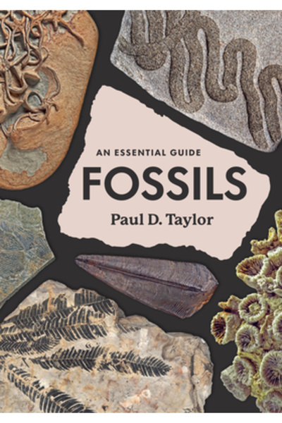Univ Of Chicago Pr Fosile: Un ghid esențial